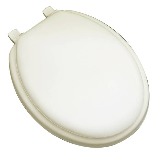 American Standard Cardiff Elongated Soft Close Toilet Seat and Lid